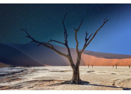 LUOCKBAS Enters the African Market and Launches a New Journey of Cooperation